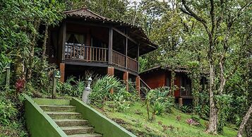 Heliconias Lodge and Rainforest