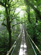 Heliconias Lodge and Rainforest