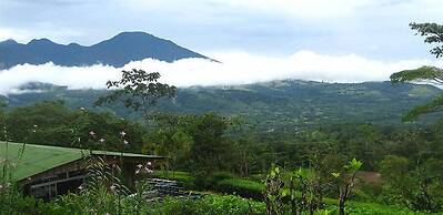 Heliconias Lodge and Rainforest