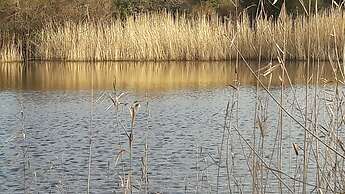 Hotel Torres Touriño
