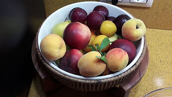 Hotel Torres Touriño