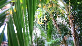 Hotel Liberty Sitges