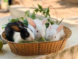 Carmelina Beach Resort