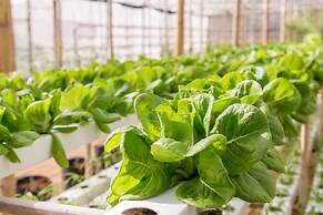 Carmelina Beach Resort