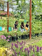 Carmelina Beach Resort