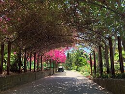 Carmelina Beach Resort