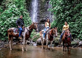 Arenal Paraíso Resort & Thermo Mineral Hot Springs
