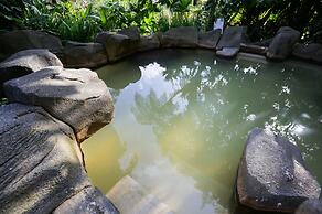 Arenal Paraíso Resort & Thermo Mineral Hot Springs