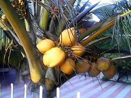 Sealine Beach Resort