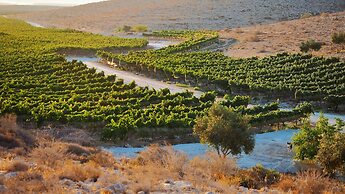 Carmey Avdat Farm