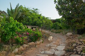 Carmey Avdat Farm