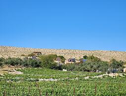 Carmey Avdat Farm