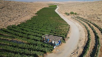 Carmey Avdat Farm