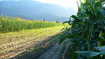 Harrison Hammond House Farmstay