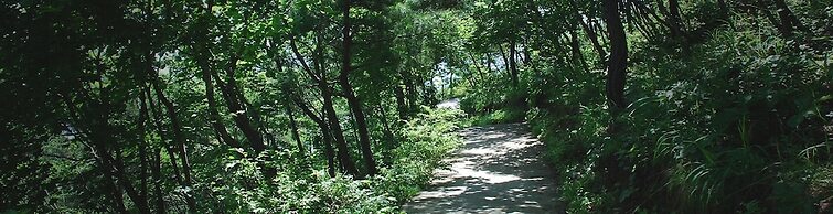 Haslla Art World Museum Hotel