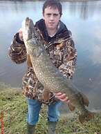 Fortview House Bed & Breakfast