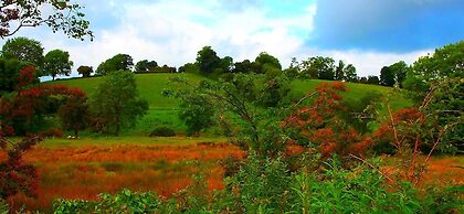 Fortview House Bed & Breakfast