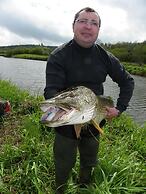 Fortview House Bed & Breakfast