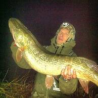 Fortview House Bed & Breakfast