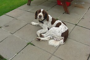 Fortview House Bed & Breakfast