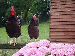 Corrigans Shore House