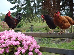 Corrigans Shore House
