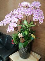 SHAN-YUE hotspring hotel