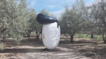 Shodoshima International Hotel