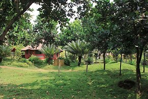 Ankobra Beach Resort