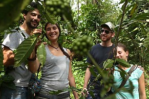 Arayal Resorts: A Unit of Sharoy Resort, Wayanad