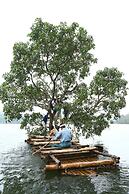 Arayal Resorts: A Unit of Sharoy Resort, Wayanad