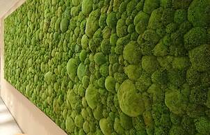 Adesso Hotel Göttingen