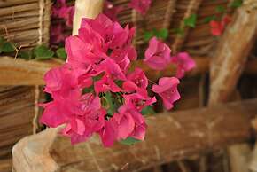 Sea View Lodge Boutique Hotel