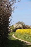 Stevns Klint Strandpension