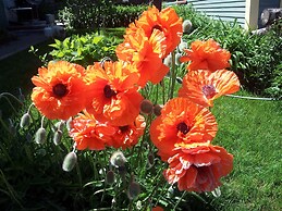 The Spaniards “Room” Heritage Home