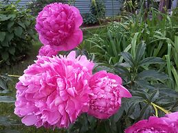 The Spaniards “Room” Heritage Home