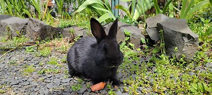 Sea Sprite at Haystack Rock