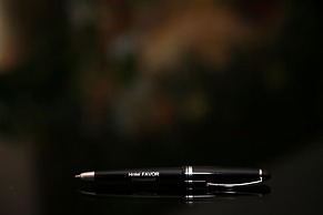 Hotel Favor
