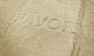 Hotel Favor