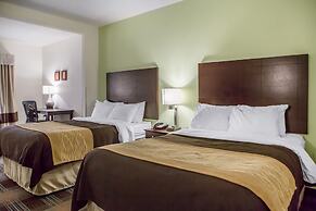 Comfort Inn Lexington South
