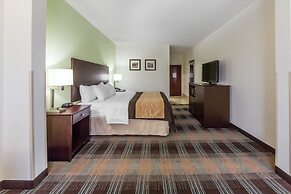 Comfort Inn Lexington South