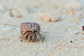 Mayalay Resort-Green Hotel