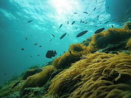 Mayalay Resort-Green Hotel