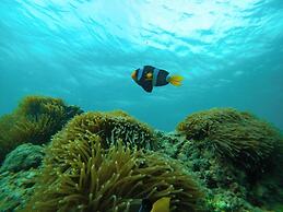 Mayalay Resort-Green Hotel