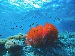 Mayalay Resort-Green Hotel