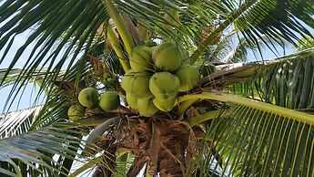 Grand Manita Beach Resort