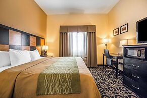 Comfort Inn Ballard-Roosevelt