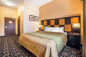 Comfort Inn Ballard-Roosevelt