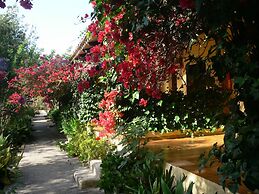 Finca Hotel Predio Son Serra