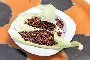 Casa Los Cantaros Hotel Boutique